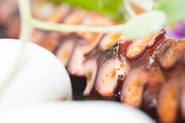RESTAURANT COOK AND TRAVEL