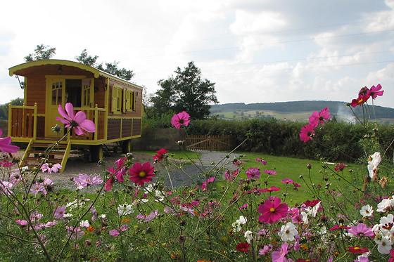 Les Roulottes du Clos d'Aventure - photo 9