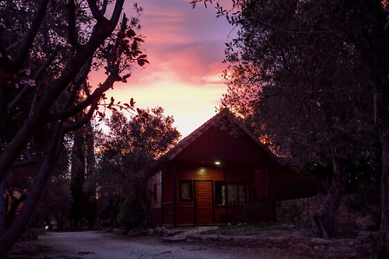 CAMPING ALQUEZAR - photo 6