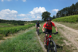 SENSATION VTT