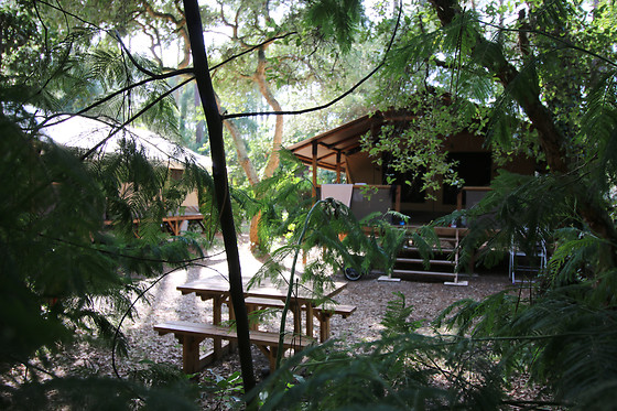 Espace Blue Océan - photo 2