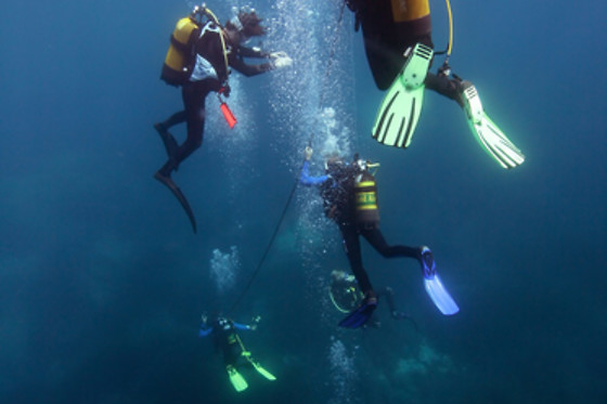 TOSSASUB DIVING CENTER - photo 7
