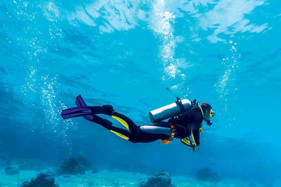 BINIBECA DIVING MENORCA - photo 2