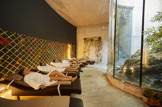 HOTEL RESORT BALNEARIO DE PANTICOSA - photo 41