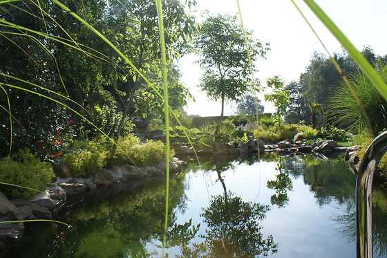 Aqua de lux - photo 2