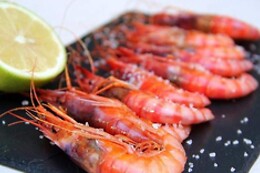 RESTAURANTE DELICIAS DEL SUR