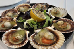RESTAURANTE DEDIEZ