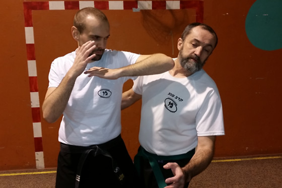 Ecole Nord Valdoisienne de Krav Maga - photo 0