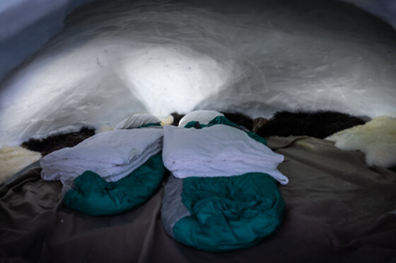 Globatlas Adventures Igloo - photo 4