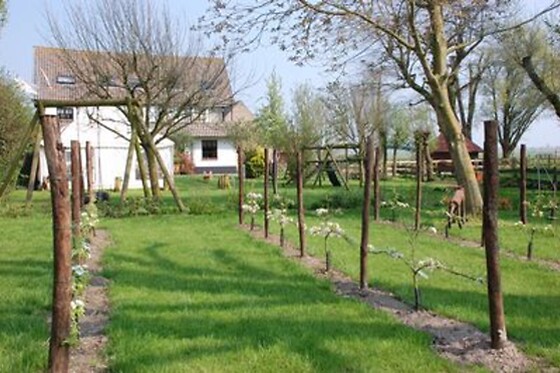 De Hooipiete - photo 0