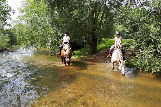 A Cheval dans l'Yonne - photo 1