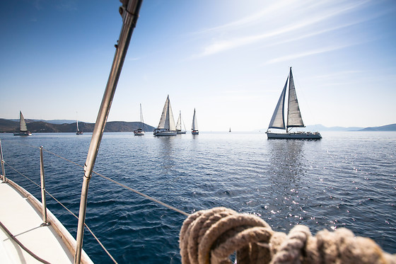 PALMAYACHTS - BOAT TOURS - photo 1