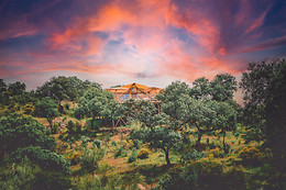 LA DEHESA EXPERIENCES