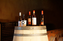 BODEGAS PALACIO DE LERMA