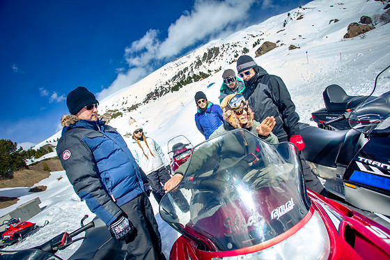 SLEDS - photo 6
