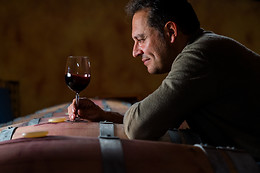BODEGAS PALACIO DE LERMA