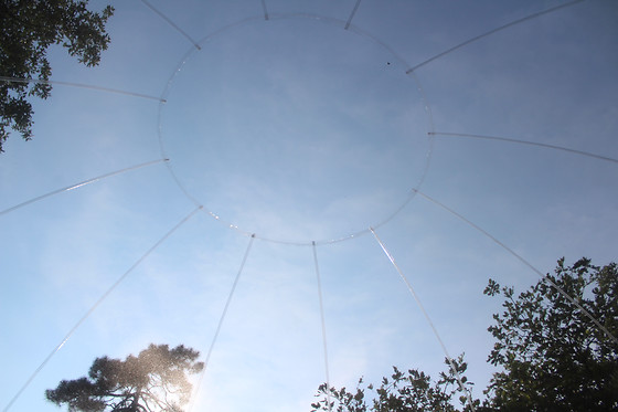 Bulles en forêt - photo 5