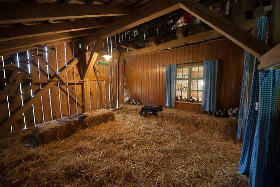 Eselhof Säge - photo 19