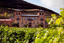 BODEGAS CASTILLO DE MONJARDIN