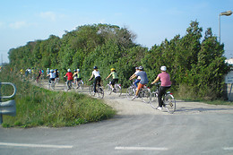 PARC D'AVENTURA I NATURA DELTAVENTUR