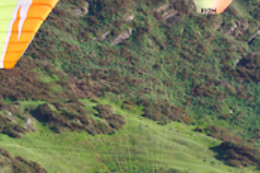 PARAPENTALIA