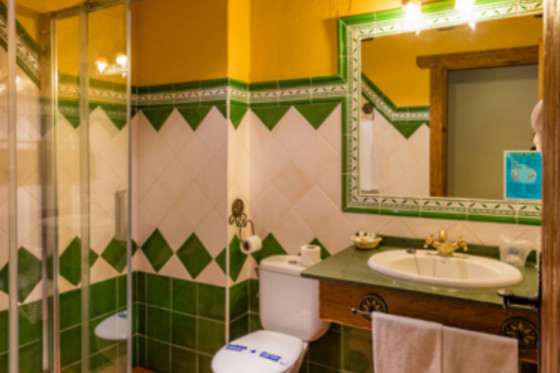 HOTEL RURAL ALMAZARA - photo 2