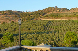 Agri-Club