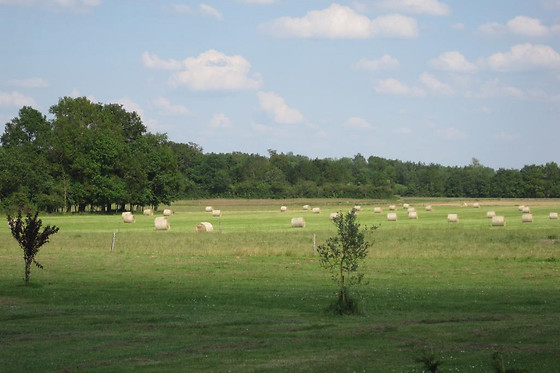 La Galerie & La Petite Grange - photo 16