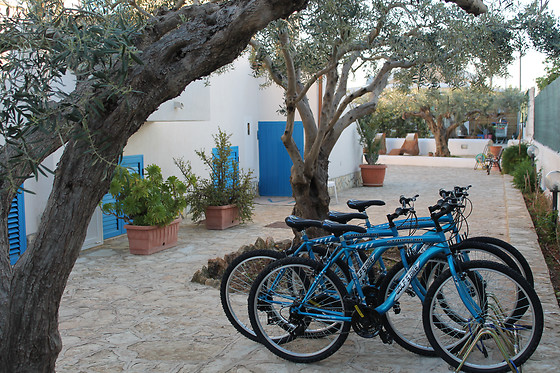 Signorino Resort - photo 5