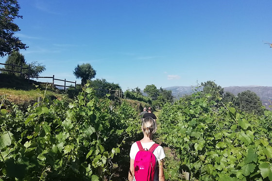 QUINTA DE SANTA MARINHA - photo 3