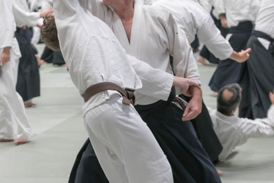 Aïkido Shugyo Dojo Brabant Wallon - photo 21