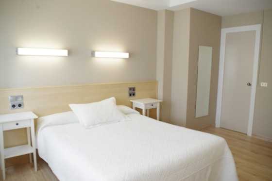 HOTEL ALAIZ - photo 6