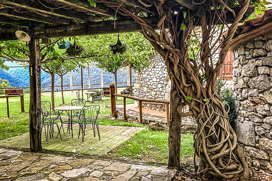 AGROTURISME MAS PINEDA OIX - photo 2