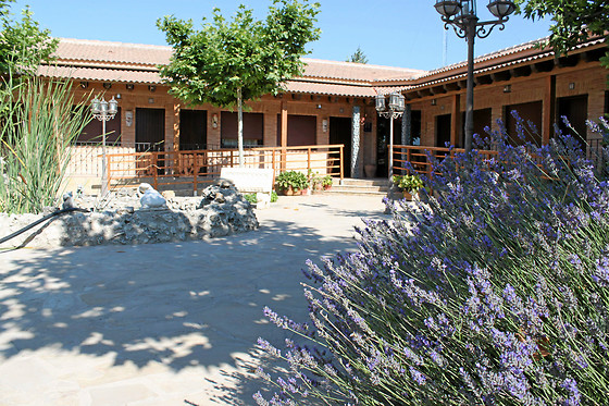 HOTEL RURAL RINCÓN DEL CIERZO - photo 10