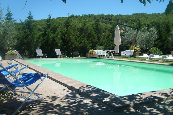 Fattoria Del Quondam - photo 3
