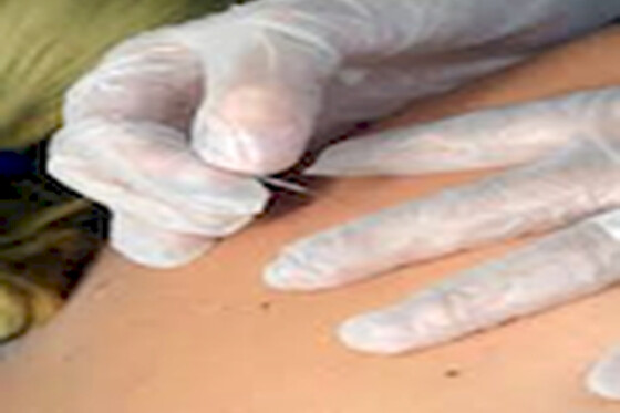 CLÍNICA DE FISIOTERAPIA BRETONES FERNÁNDEZ - photo 1
