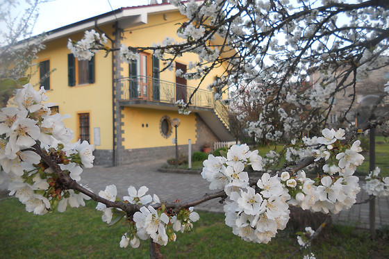 B&B Pervinca - photo 1
