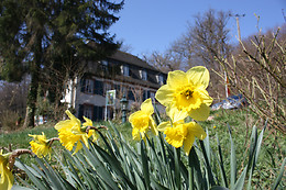 Historische Schlossmühle