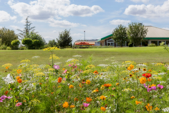 Ugolf Metz - photo 4