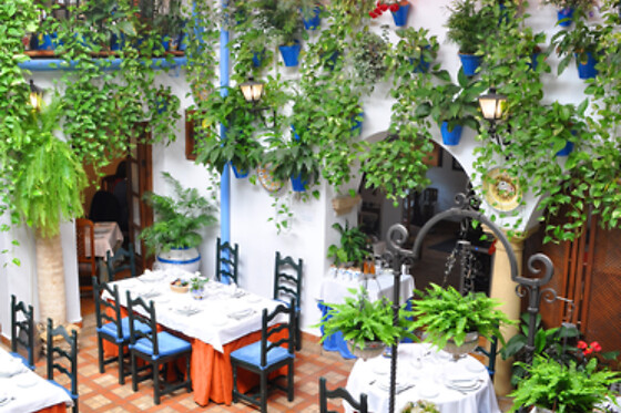 RESTAURANTE PUERTA SEVILLA - photo 2