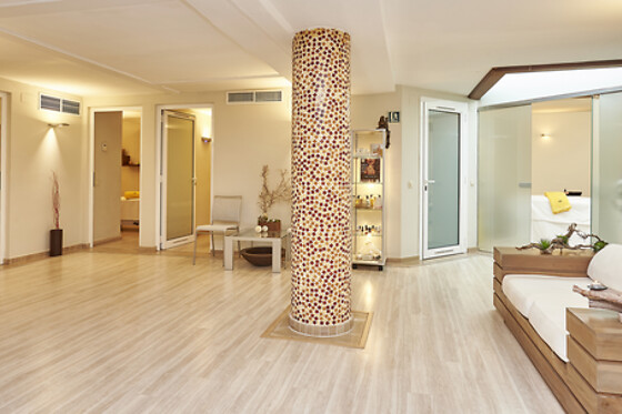 HOTEL GRÈVOL SPA - photo 17