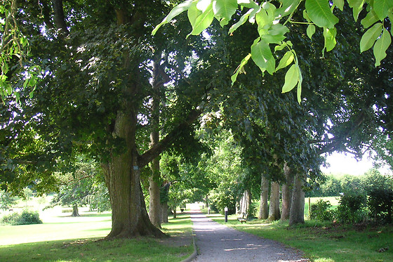 Domaine de Villers-Sainte-Gertrude  - La Ferme - photo 7