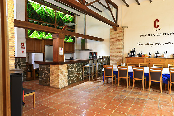 BODEGAS CASTAÑO - photo 1